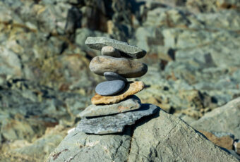 Holistic Alignment