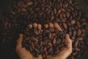 Cacao Ceremony
